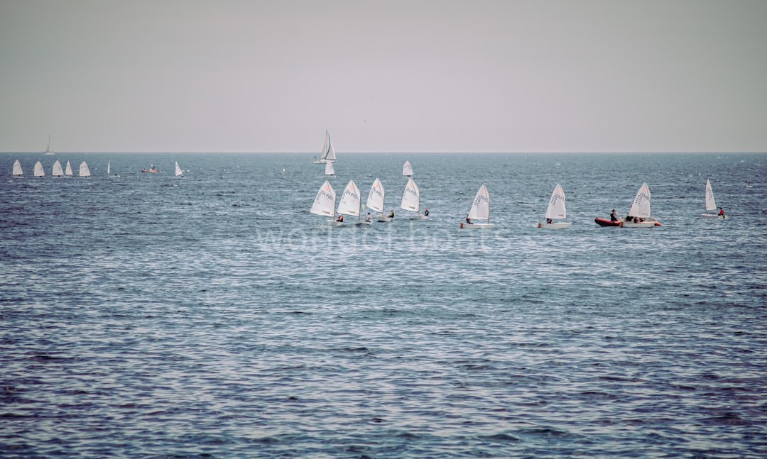 Sailing Professional